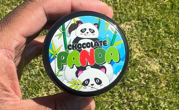 chocolate panda by umami genetics strain review by jointswithjalen