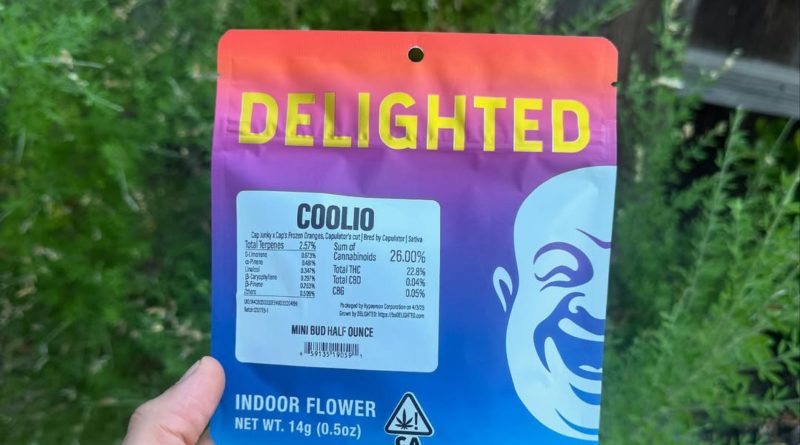 coolio by delighted flower strain review by yieldisdead 2