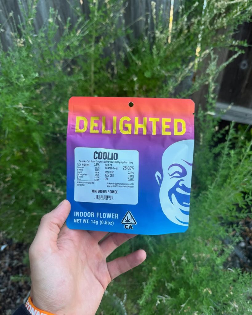 coolio by delighted flower strain review by yieldisdead 2