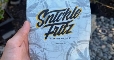 donny burger by snicklefritz strain review by yieldisdead 2