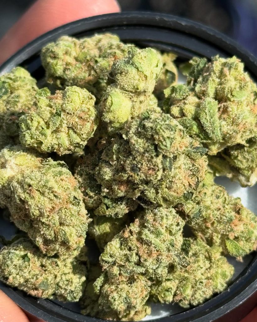 donny burger by snicklefritz strain review by yieldisdead