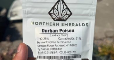 durban poison by northern emeralds strain review by yieldisdead 2