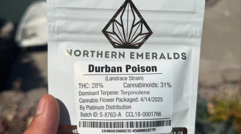 durban poison by northern emeralds strain review by yieldisdead 2