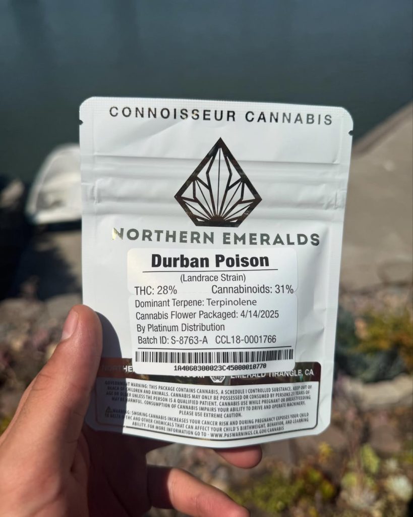 durban poison by northern emeralds strain review by yieldisdead 2