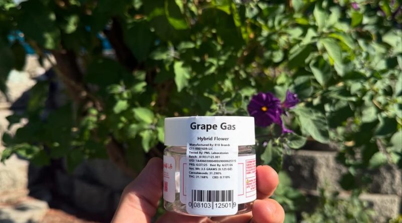 grape gas by 818 brands strain review by yieldisdead 2