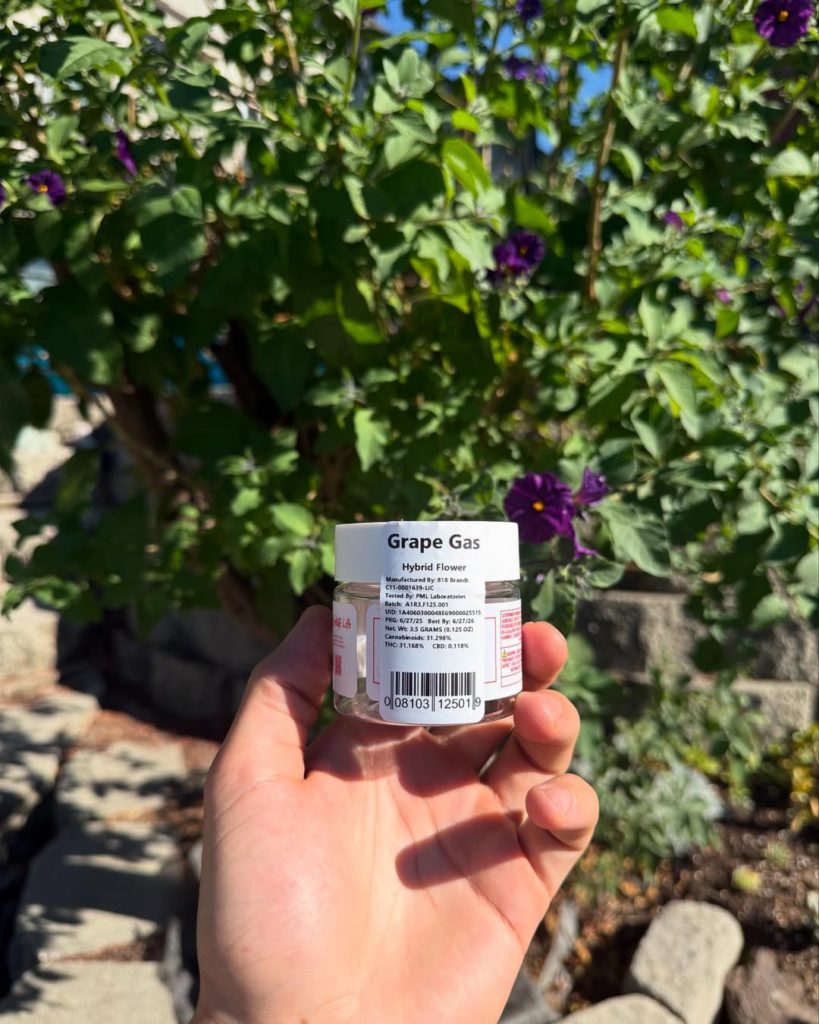 grape gas by 818 brands strain review by yieldisdead 2