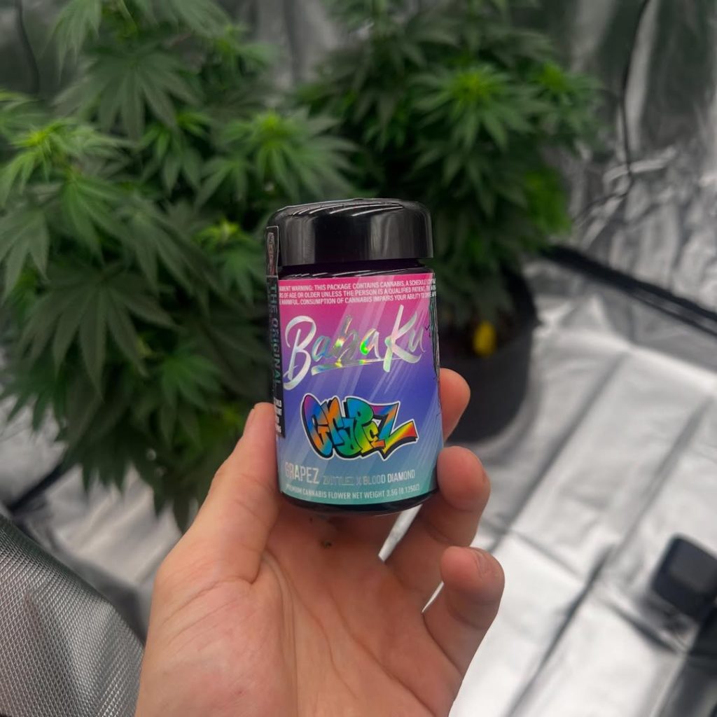 grape z by baba ku farms x grapez strain review by yieldisdead 2