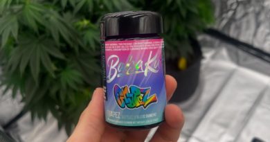 grape z by baba ku farms x grapez strain review by yieldisdead 2