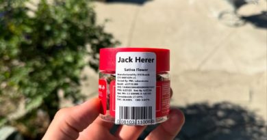 jack herer by 818 brands strain review by yieldisdead 2