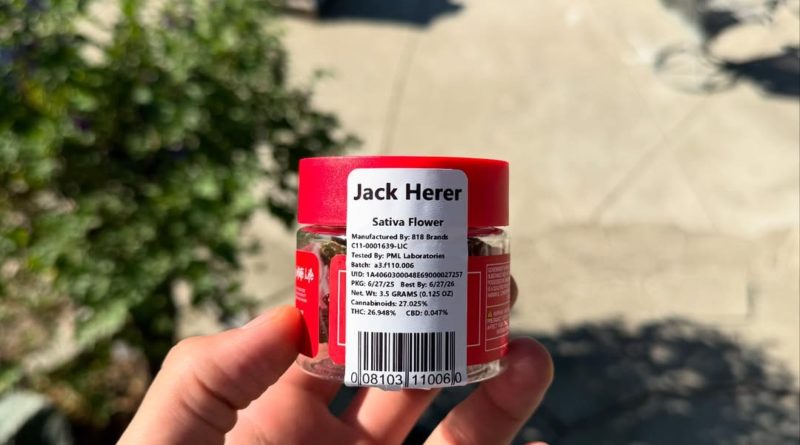 jack herer by 818 brands strain review by yieldisdead 2