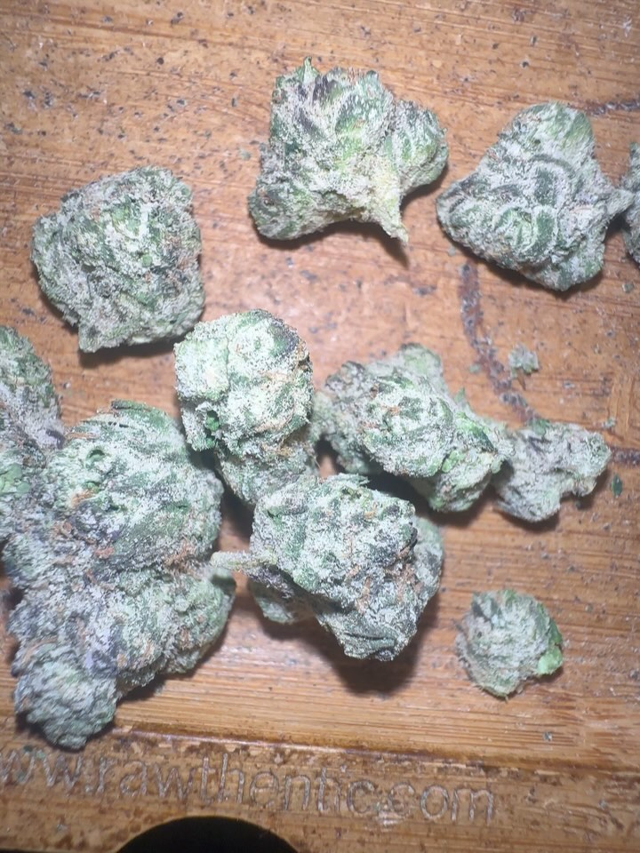 murakami meal by back block exotics strain review by candylandreviews