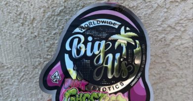 pink ghosties by big als exotics x xoticflavorz strain review by yieldisdead 2