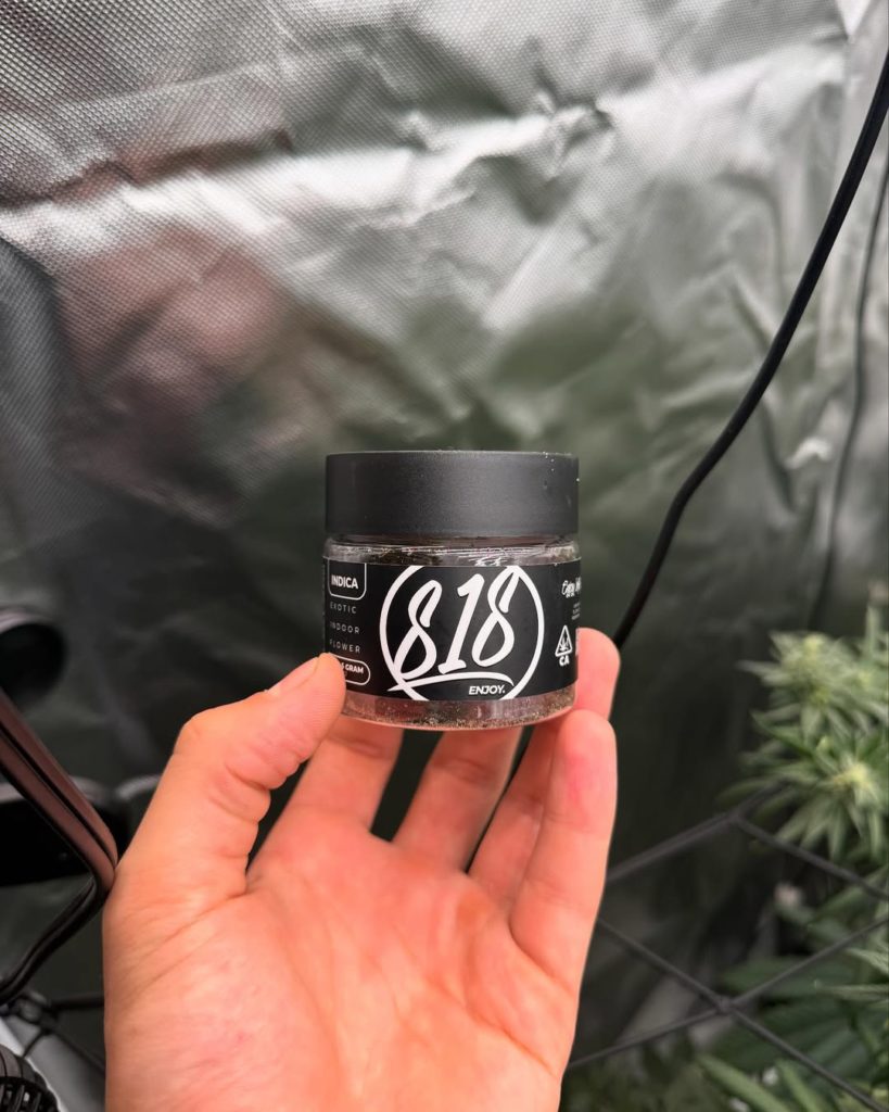 purple cream by 818 brands strain review by yieldisdead 2