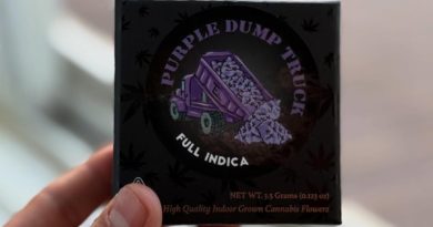 purple dump truck by team elite genetics strain review by yieldisdead 2