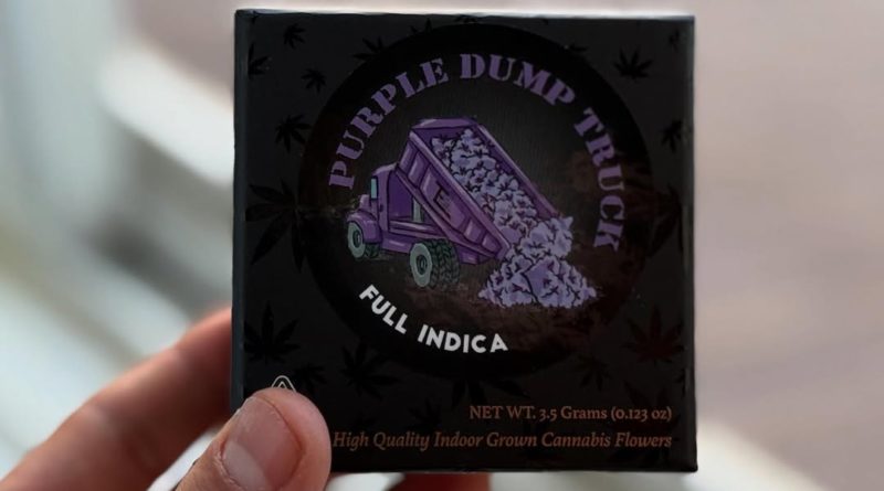 purple dump truck by team elite genetics strain review by yieldisdead 2