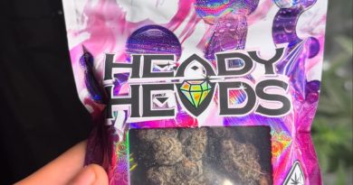 sacred g by heady heads strain review by yieldisdead 2