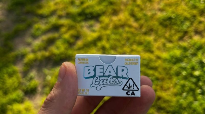 sour kosher kush live rosin by bear labs hash revew by yieldisdead 2