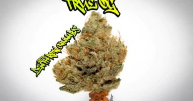 true og by death row cannabis strain review by stoneybearreviews