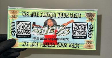we are paying your rent by zoeys ca strain review by candylandreviews 2