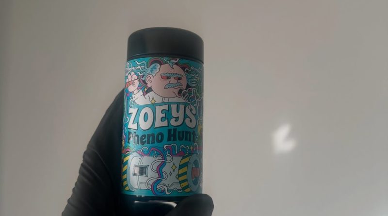 zoeys pheno hunt by zoeys ca strain review by candylandreviews 2
