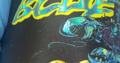 blue lobster by maine trees strain review by getbbudded23