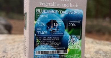 blueberry balance by sonoma hills farm strain review by yieldisdead 2