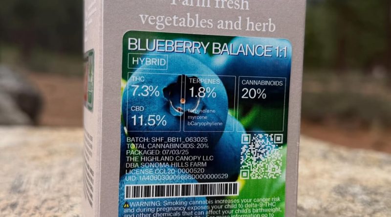 blueberry balance by sonoma hills farm strain review by yieldisdead 2
