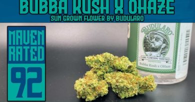 bubba kush x ohaze by budularo strain review by dank maven 2