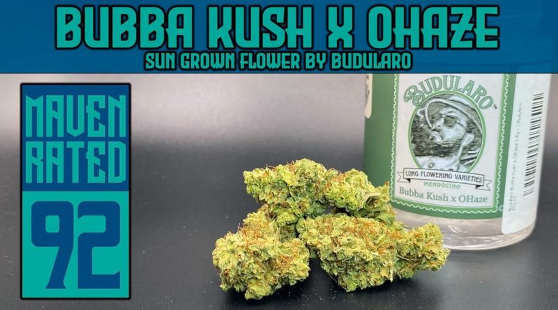 bubba kush x ohaze by budularo strain review by dank maven 2