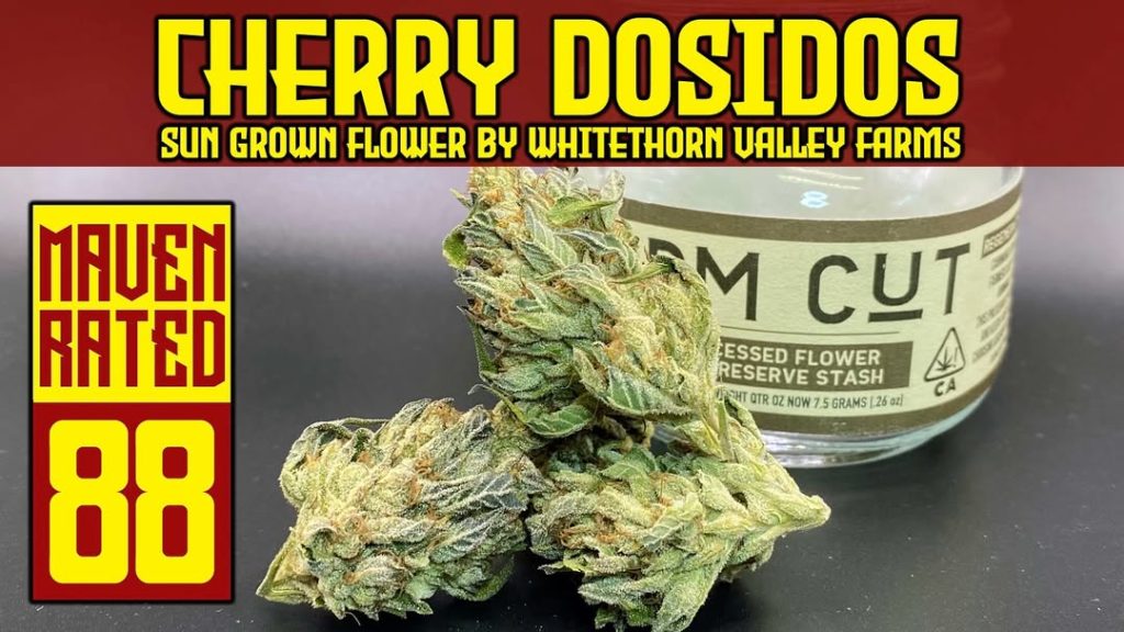 cherry dosidos by whitethorn valley farm strain review by dank maven 2