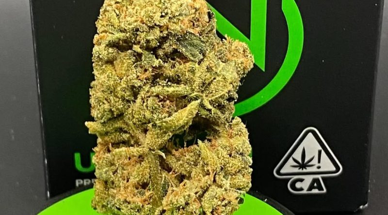 durban poison by upnorth craft strain review by getbbudded23