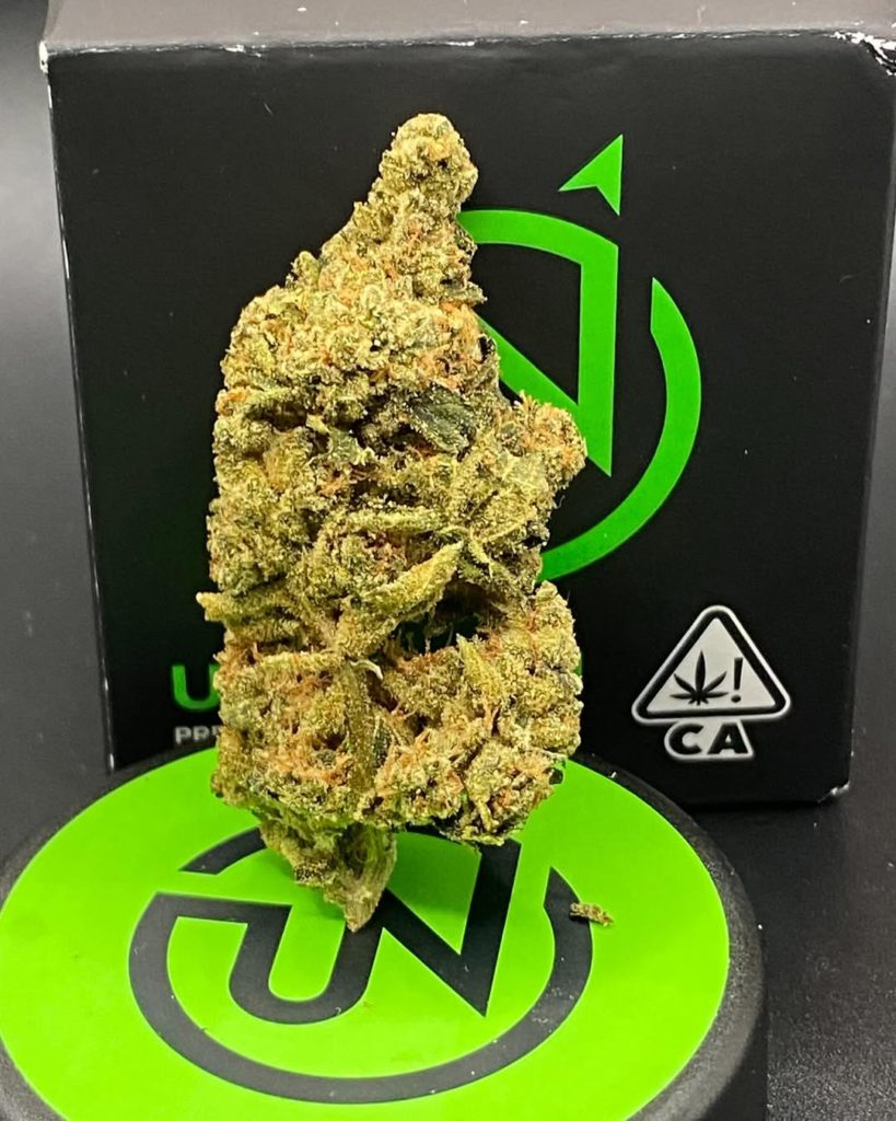 durban poison by upnorth craft strain review by getbbudded23
