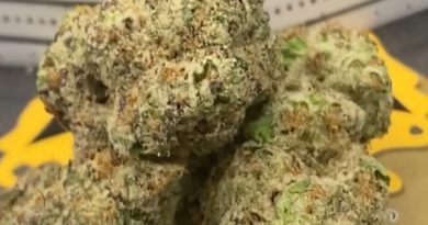flapjacks by lucky elk hemp strain review by getbbudded23