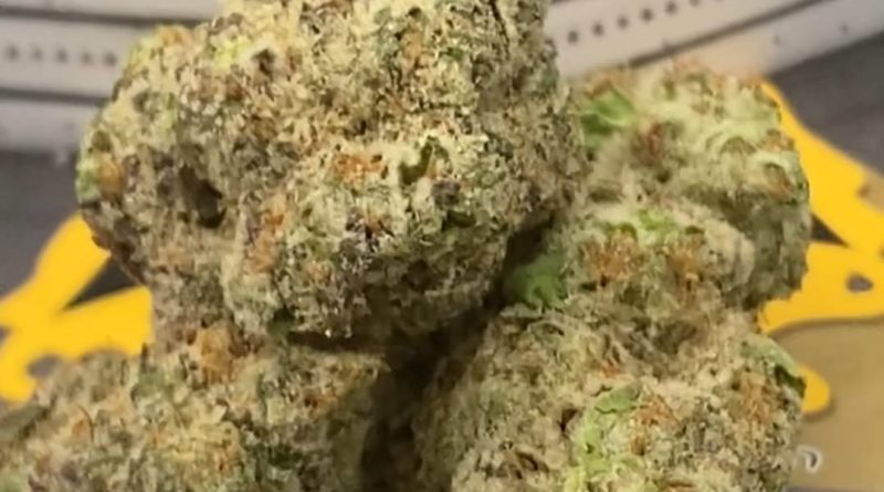 flapjacks by lucky elk hemp strain review by getbbudded23