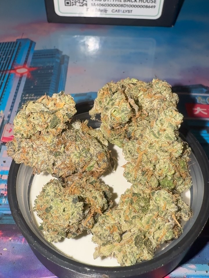 garlic gas by top shelf cultivation strain review by jointswithjalen 2