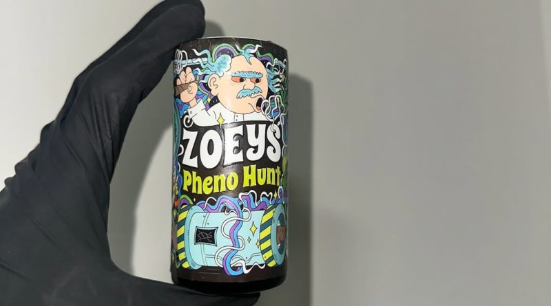 glitchy glue by zoeys ca strain review by candylandreviews 2