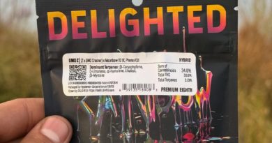 gmo z by delighted flower strain review by yieldisdead 2