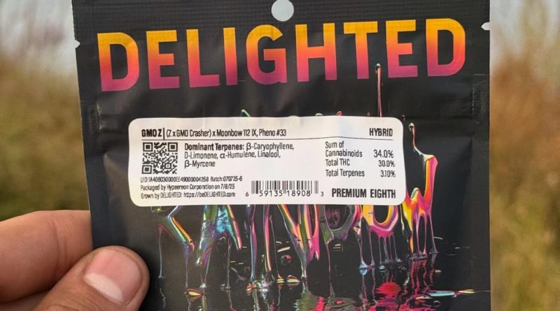gmo z by delighted flower strain review by yieldisdead 2