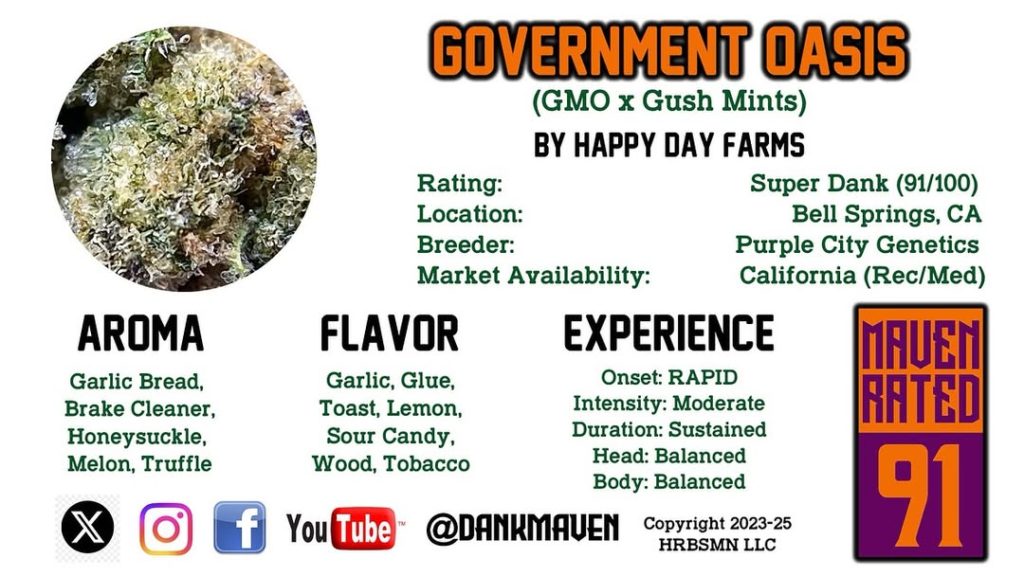 government oasis by happy day farms strain review by dank maven 2