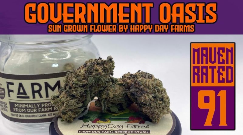 government oasis by happy day farms strain review by dank maven