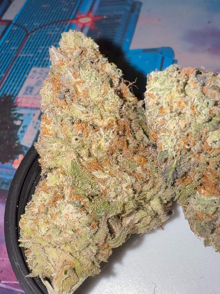 greasi lemons by voyage bloom strain review by jointswithjalen 2