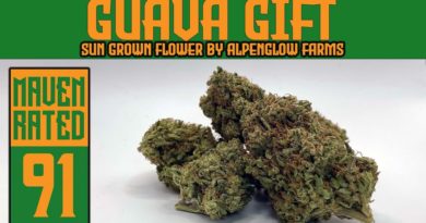 guava gift by alpenglow farms strain review by dank maven 2