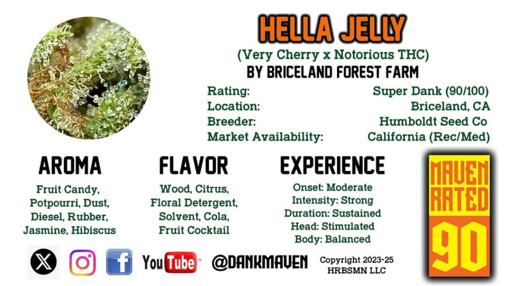 hella jelly by briceland forest farm strain review by dank maven