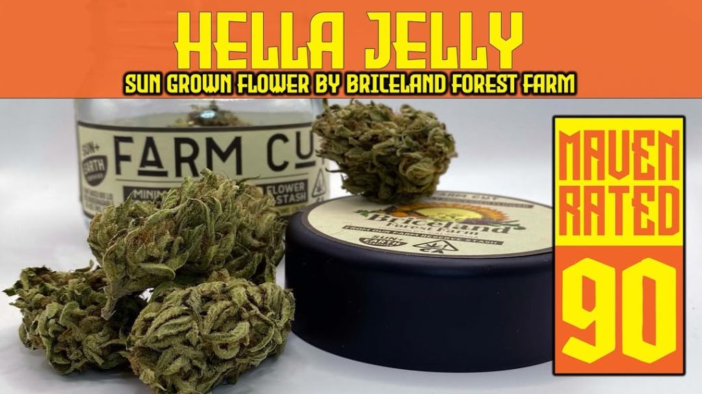 hella jelly by briceland forest farm strain review by dank maven 2