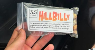 hillbilly mushroom strain review by yieldisdead 2