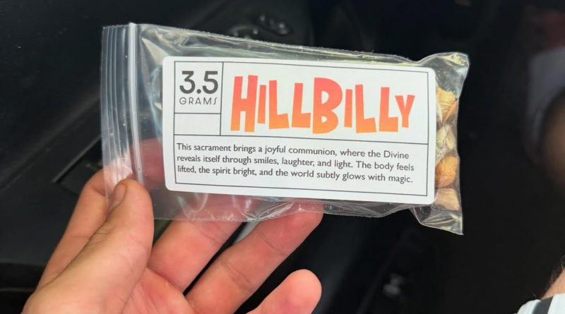 hillbilly mushroom strain review by yieldisdead 2