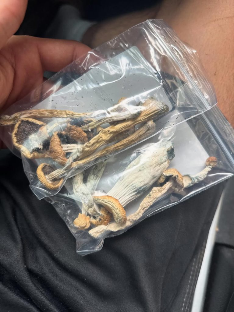 hillbilly mushroom strain review by yieldisdead