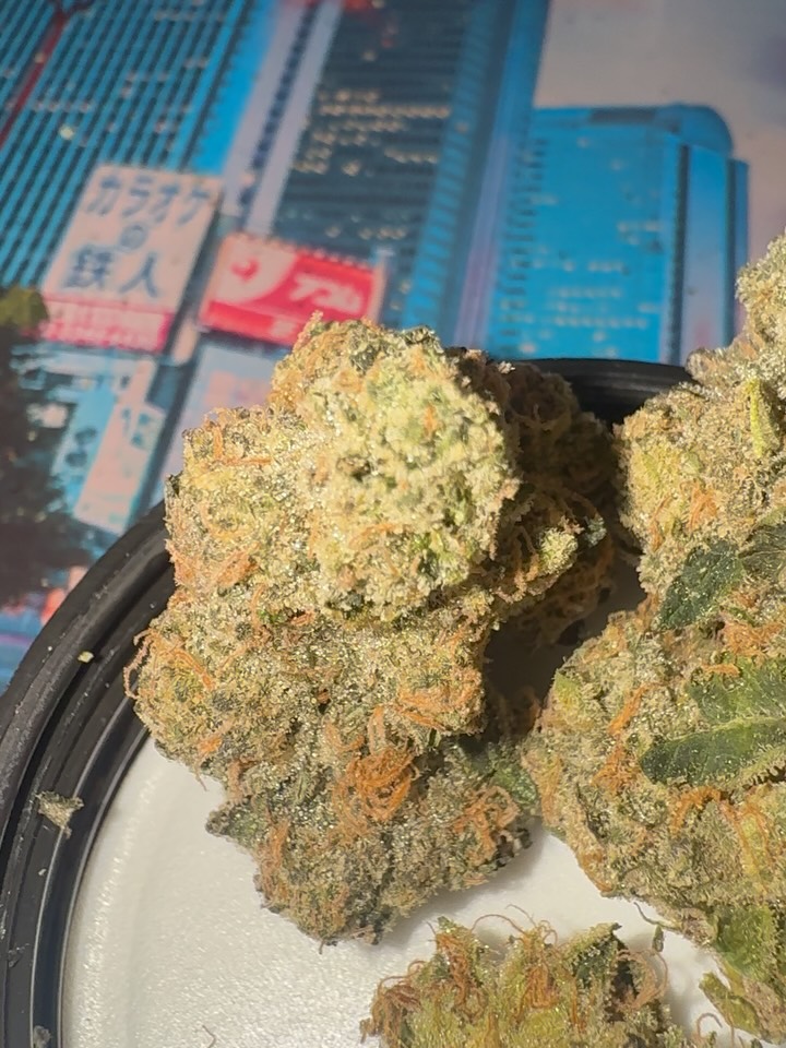 i-95 cookies by cam strain review by jointswithjalen 2