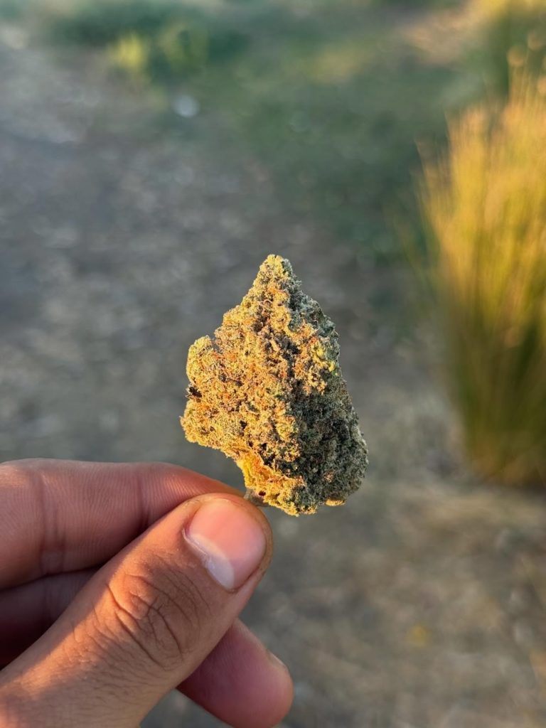 laughing gas by baba ku farms strain review by yieldisdead