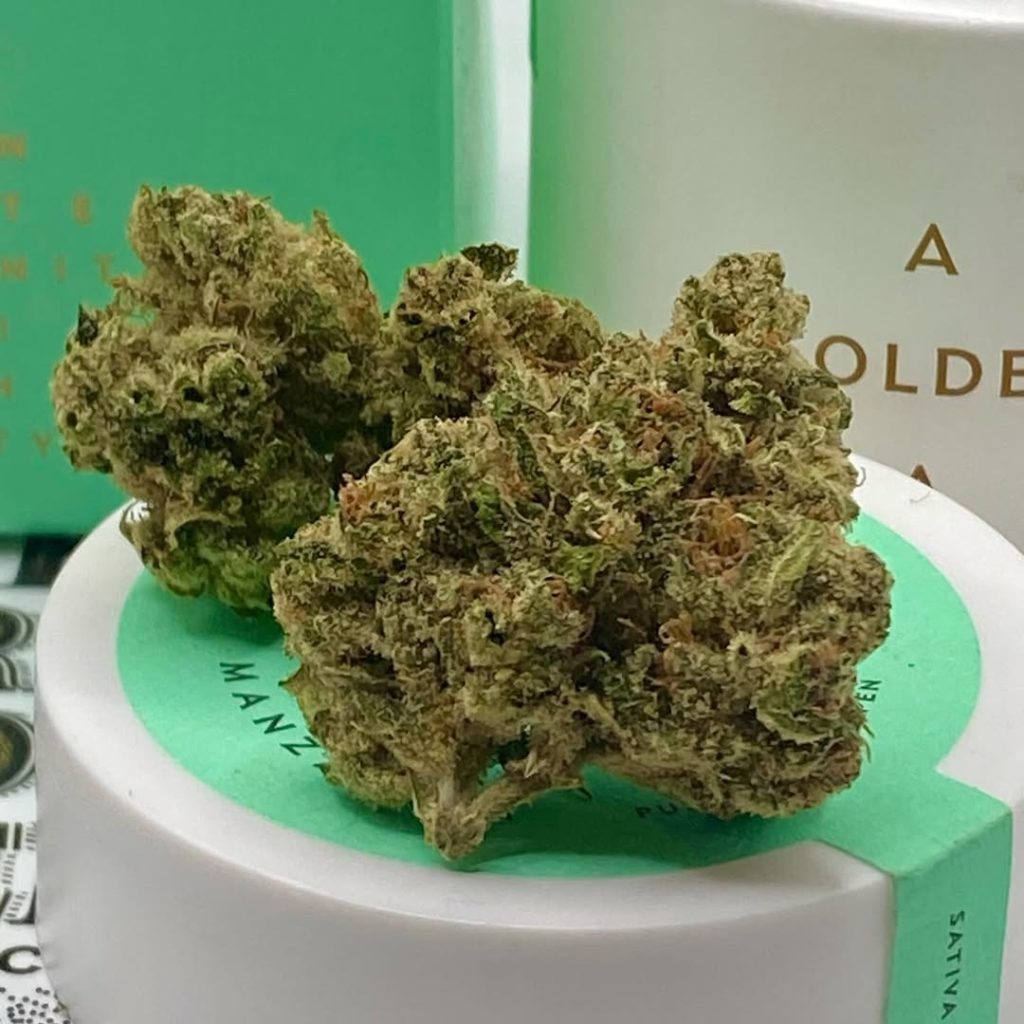 manzanita by a golden state strain review by getbbudded23